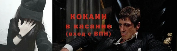 сатива Рославль