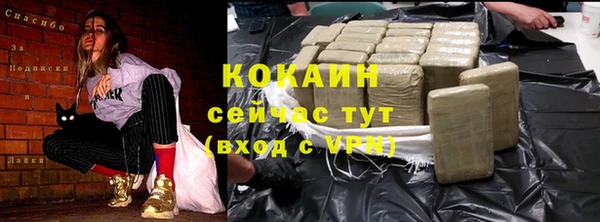 сатива Рославль