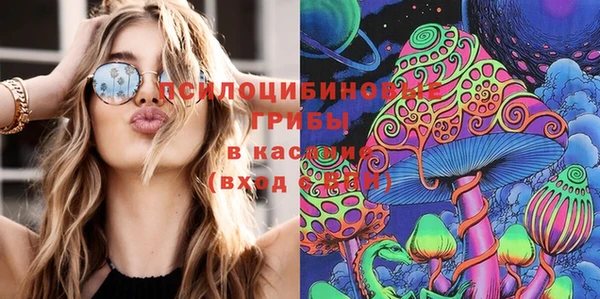 spice Вязьма
