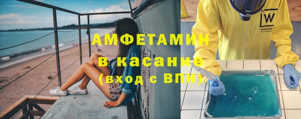 прущие грибы Вяземский
