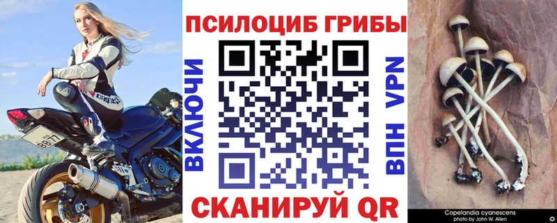 магазин продажи наркотиков  Струнино  Галлюциногенные грибы прущие грибы 